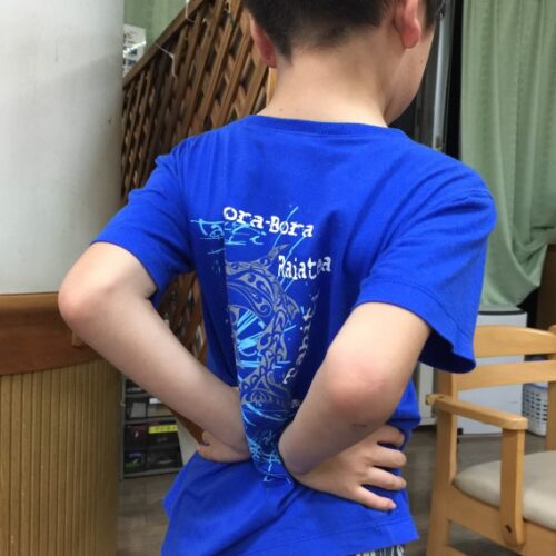 モデル