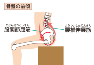 骨盤が起きている状態（背中を反る）