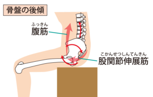 骨盤が後ろに倒れる（身体を丸める）