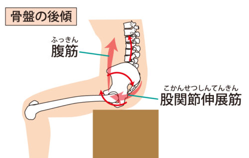 腰を丸める（骨盤後傾）