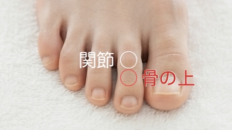 足の指の関節と骨の上の位置を示した図